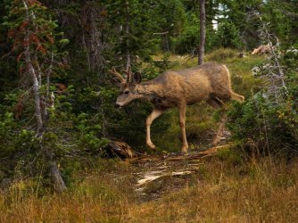 RCM00604-Naturaliste le Trois 9-2021-210903-46.jpg