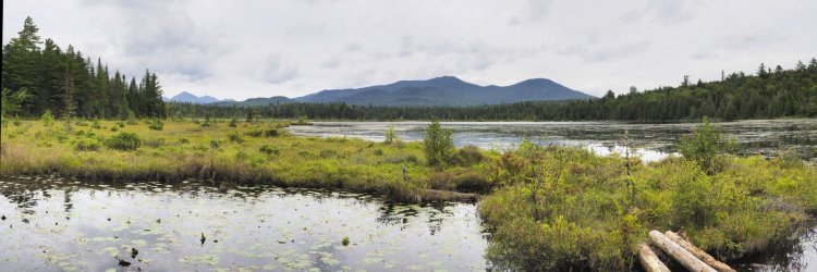 _9010971 Panorama.jpeg