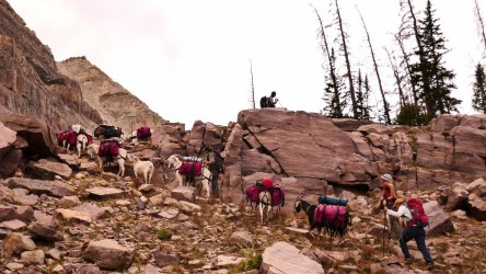 1070241.jpg 1070241.jpg