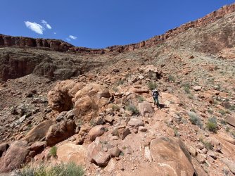 2021-05-16_14-22-01_853.jpg 2021-05-16_14-22-01_853.jpg