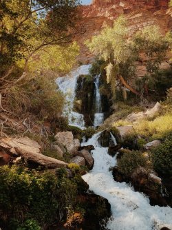 2021-05-16_16-19-43_375.jpeg 2021-05-16_16-19-43_375.jpeg