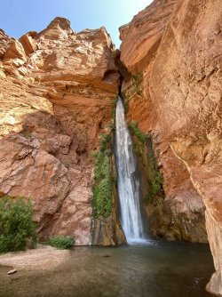 2021-05-17_10-09-36_531.jpg 2021-05-17_10-09-36_531.jpg