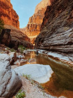 2021-05-18_08-52-30_541.jpeg 2021-05-18_08-52-30_541.jpeg