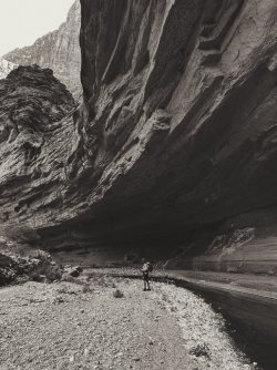 2021-05-18_10-31-03_000.jpeg 2021-05-18_10-31-03_000.jpeg