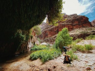 2021-05-18_16-49-36_516.jpeg 2021-05-18_16-49-36_516.jpeg