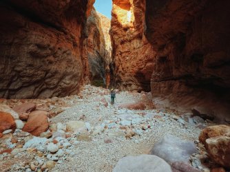 2021-05-19_08-14-06_911.jpeg 2021-05-19_08-14-06_911.jpeg