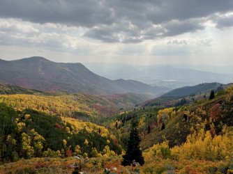 2021-09-28 11.39.11.jpg