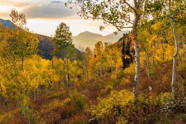 RCM02147-2021 Wanderings 2021-210929-33.jpg