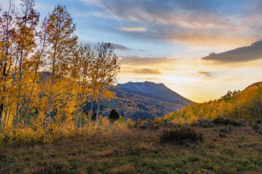 RCM02263-2021 Wanderings 2021-210929-2.jpg