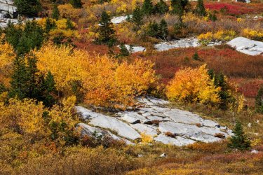 RCM02831 9-10 2021-211001-5.jpg