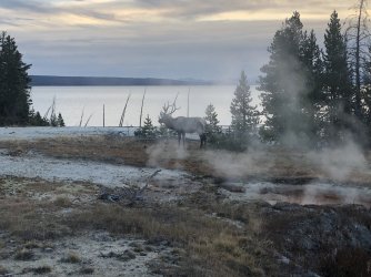 IMG_2036.JPG IMG_2036.JPG