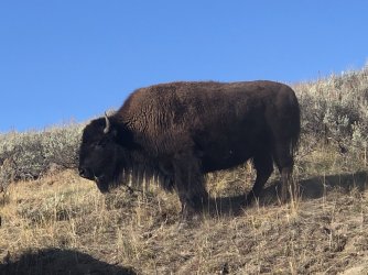 IMG_2053.JPG IMG_2053.JPG