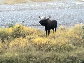 IMG_2088.JPG IMG_2088.JPG