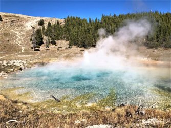 IMG_2132 (2).JPG IMG_2132 (2).JPG