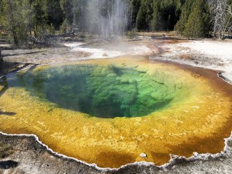 IMG_2230.JPG IMG_2230.JPG