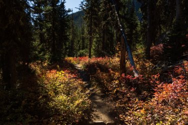 RCM02761-10 2021-211001-81.jpg