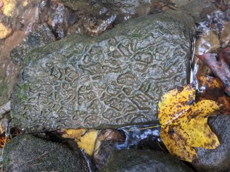 2021-10-04 14.15.05.jpg