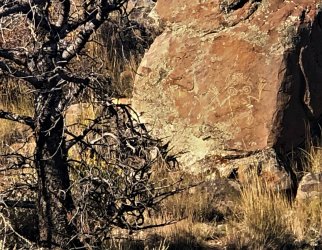 IMG_2248 (2).JPG IMG_2248 (2).JPG