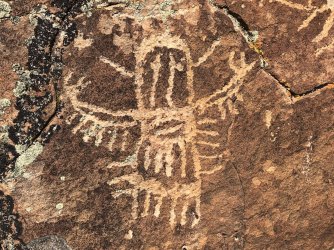 IMG_2264.JPG IMG_2264.JPG