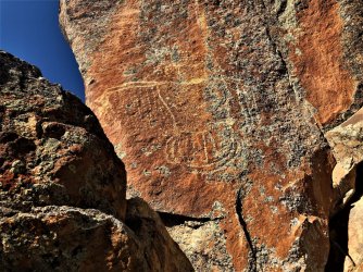 IMG_2268 (2).JPG IMG_2268 (2).JPG