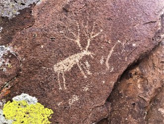 IMG_2282 (2).JPG IMG_2282 (2).JPG