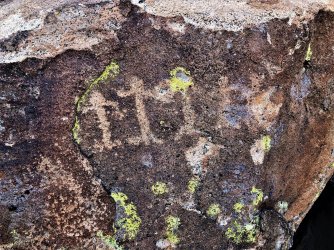 IMG_2288 (2).JPG IMG_2288 (2).JPG