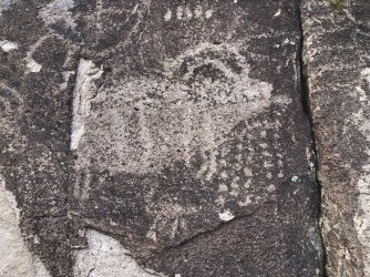 IMG_2299.JPG IMG_2299.JPG