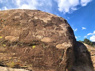 IMG_2306 (2).JPG IMG_2306 (2).JPG