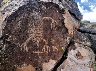 IMG_2308 (2).JPG IMG_2308 (2).JPG