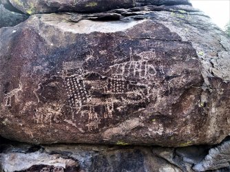 IMG_2310 (2).JPG IMG_2310 (2).JPG