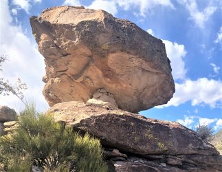 IMG_2313 (2).JPG IMG_2313 (2).JPG