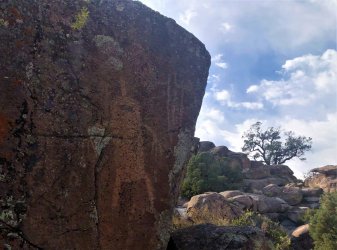 IMG_2316 (2).JPG IMG_2316 (2).JPG