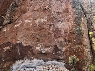 IMG_2300 (2).JPG IMG_2300 (2).JPG