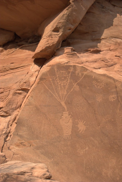 1633958045109.png 1633958045109.png