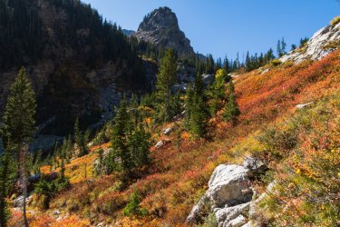 RCM02871- 9-10 2021-211001-15.jpg