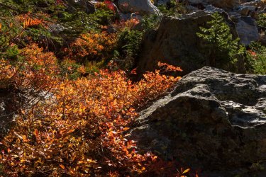 RCM03558- 9-10 2021-211003-16.jpg