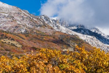 RCM03878-2021 Wanderings 2021-211013-6.jpg