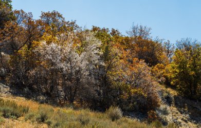 RCM03883-2021 Wanderings 2021-211013-7-c.jpg