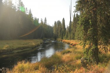 5J5A9038.JPG 5J5A9038.JPG