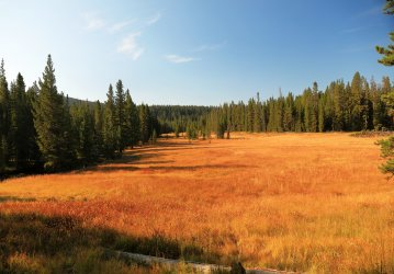 5J5A9039.JPG 5J5A9039.JPG