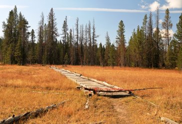 5J5A9050.JPG 5J5A9050.JPG