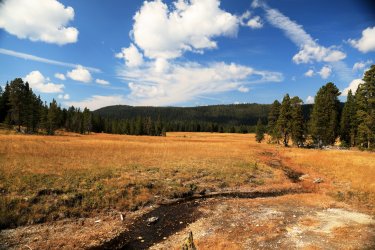 5J5A9051.JPG 5J5A9051.JPG