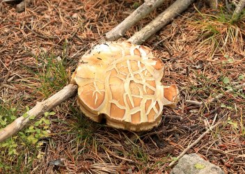 5J5A9054.JPG 5J5A9054.JPG