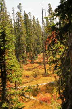 5J5A9055.JPG 5J5A9055.JPG