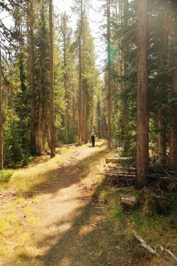 5J5A9056.JPG 5J5A9056.JPG