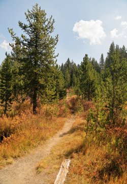 5J5A9058.JPG 5J5A9058.JPG