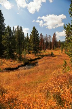 5J5A9059.JPG 5J5A9059.JPG