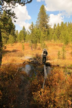 5J5A9060.JPG 5J5A9060.JPG