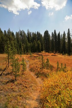 5J5A9067.JPG 5J5A9067.JPG