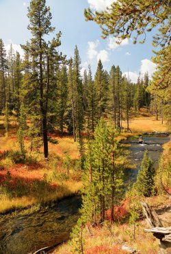 5J5A9068.JPG 5J5A9068.JPG